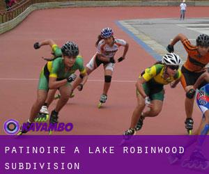 Patinoire à Lake Robinwood Subdivision
