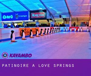 Patinoire à Love Springs