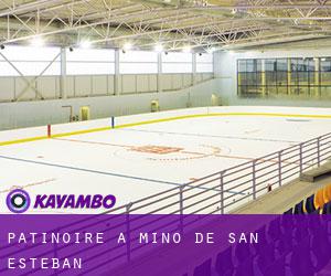 Patinoire à Miño de San Esteban