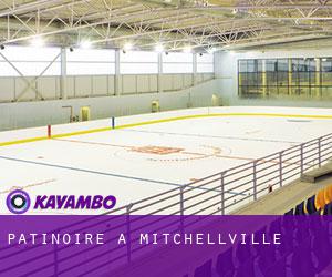 Patinoire à Mitchellville