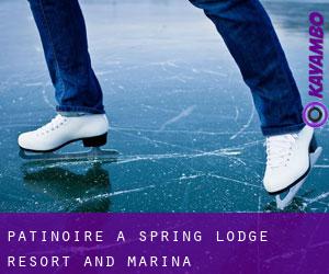 Patinoire à Spring Lodge Resort and Marina