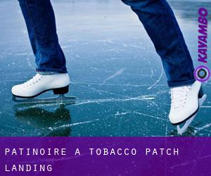 Patinoire à Tobacco Patch Landing