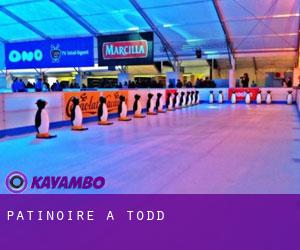 Patinoire à Todd