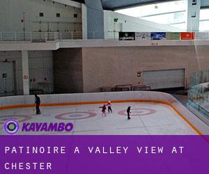 Patinoire à Valley View At Chester