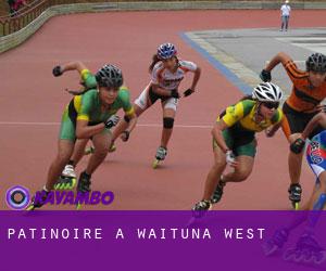 Patinoire à Waituna West