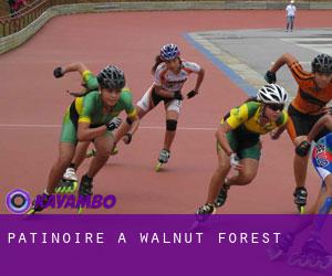 Patinoire à Walnut Forest