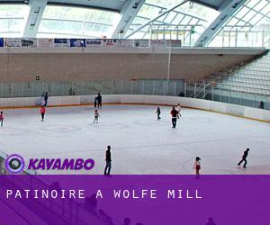 Patinoire à Wolfe Mill