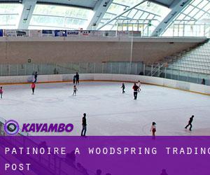 Patinoire à Woodspring Trading Post