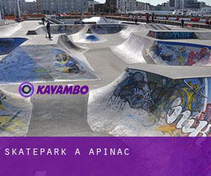 Skatepark à Apinac