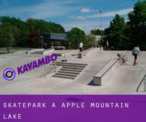 Skatepark à Apple Mountain Lake