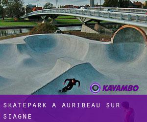 Skatepark à Auribeau-sur-Siagne