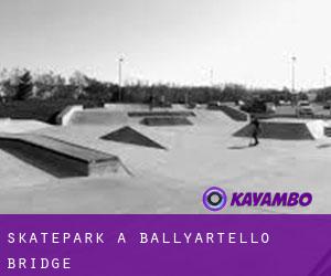 Skatepark à Ballyartello Bridge