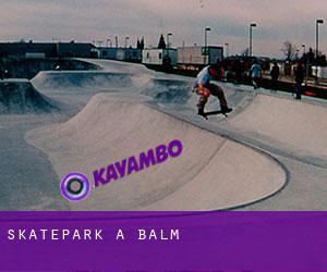Skatepark à Balm