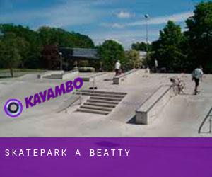 Skatepark à Beatty