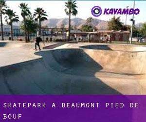Skatepark à Beaumont-Pied-de-Bœuf