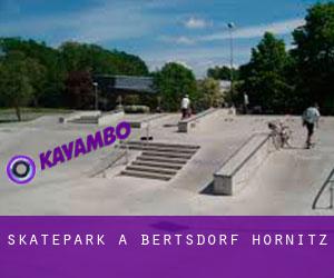 Skatepark à Bertsdorf-Hörnitz