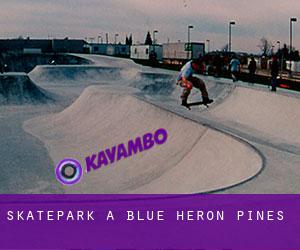 Skatepark à Blue Heron Pines