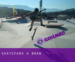 Skatepark à Bran