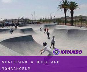 Skatepark à Buckland Monachorum