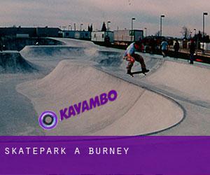 Skatepark à Burney