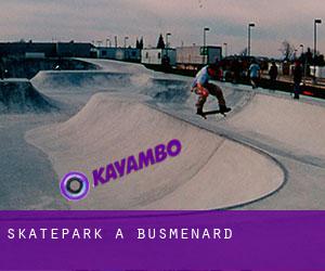 Skatepark à Busménard