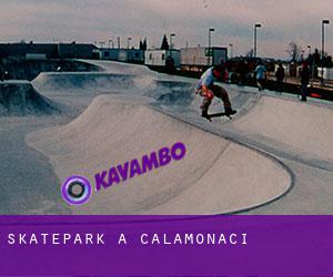 Skatepark à Calamonaci