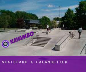 Skatepark à Calamoutier