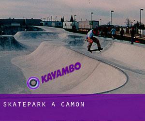 Skatepark à Camon