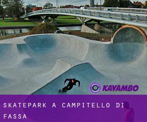 Skatepark à Campitello di Fassa