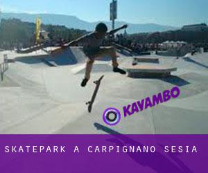 Skatepark à Carpignano Sesia