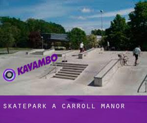 Skatepark à Carroll Manor