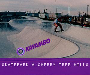 Skatepark à Cherry Tree Hills