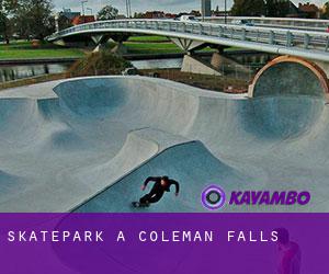 Skatepark à Coleman Falls
