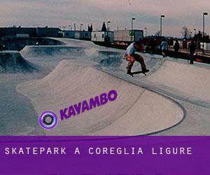Skatepark à Coreglia Ligure