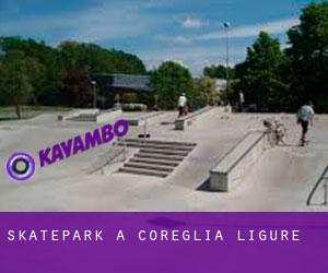 Skatepark à Coreglia Ligure