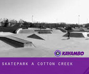 Skatepark à Cotton Creek