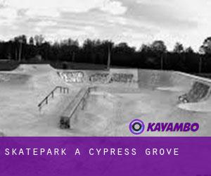 Skatepark à Cypress Grove