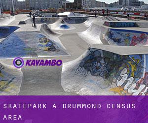 Skatepark à Drummond (census area)