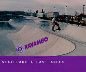 Skatepark à East Angus