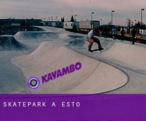 Skatepark à Esto