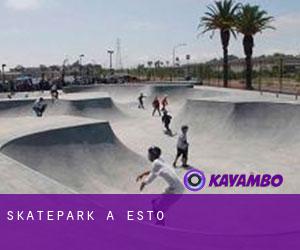 Skatepark à Esto