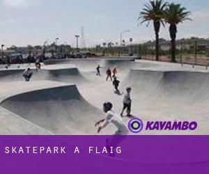 Skatepark à Flaig