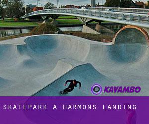 Skatepark à Harmons Landing