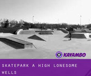 Skatepark à High Lonesome Wells