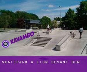 Skatepark à Lion-devant-Dun