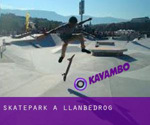 Skatepark à Llanbedrog