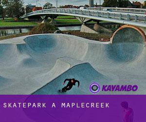 Skatepark à Maplecreek