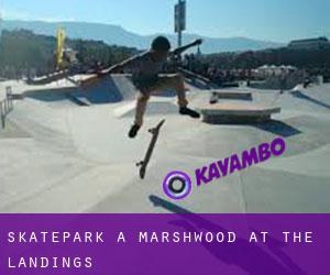 Skatepark à Marshwood at the Landings