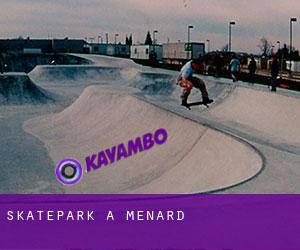 Skatepark à Menard
