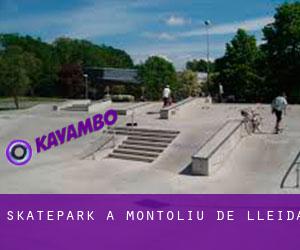 Skatepark à Montoliu de Lleida